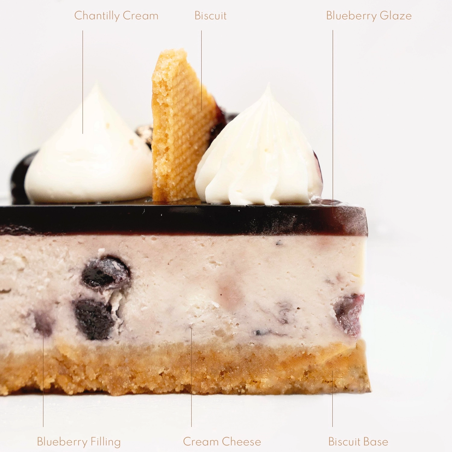 Blueberry Cheesecake Slice