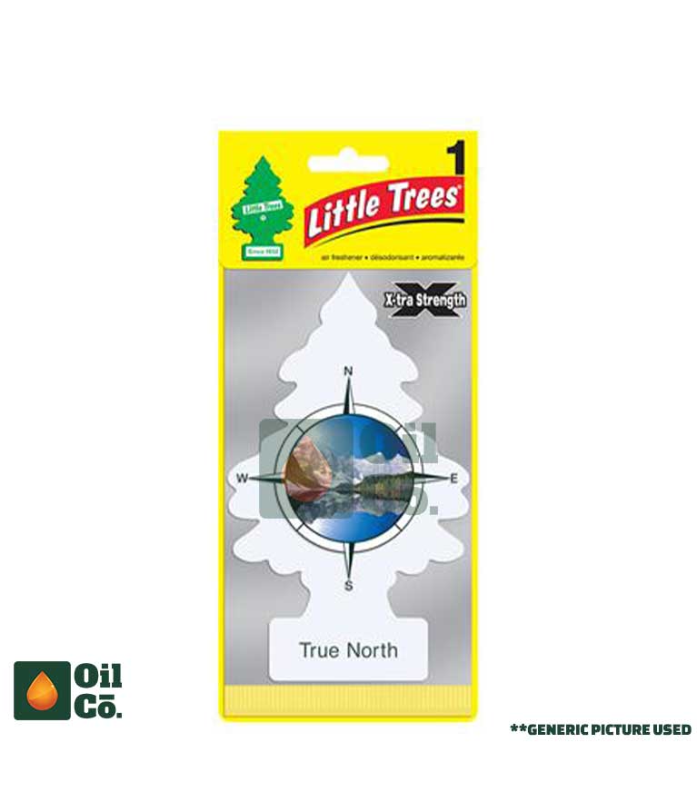 LITTLE TREE COMMON FLAVOURS TRUE NORTH (USA)