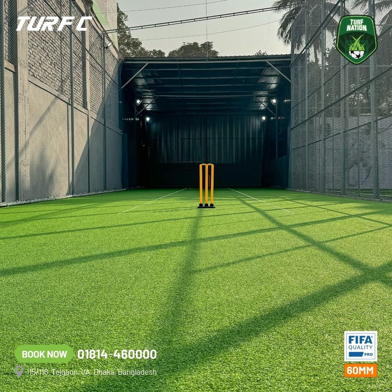 Cricket Turf