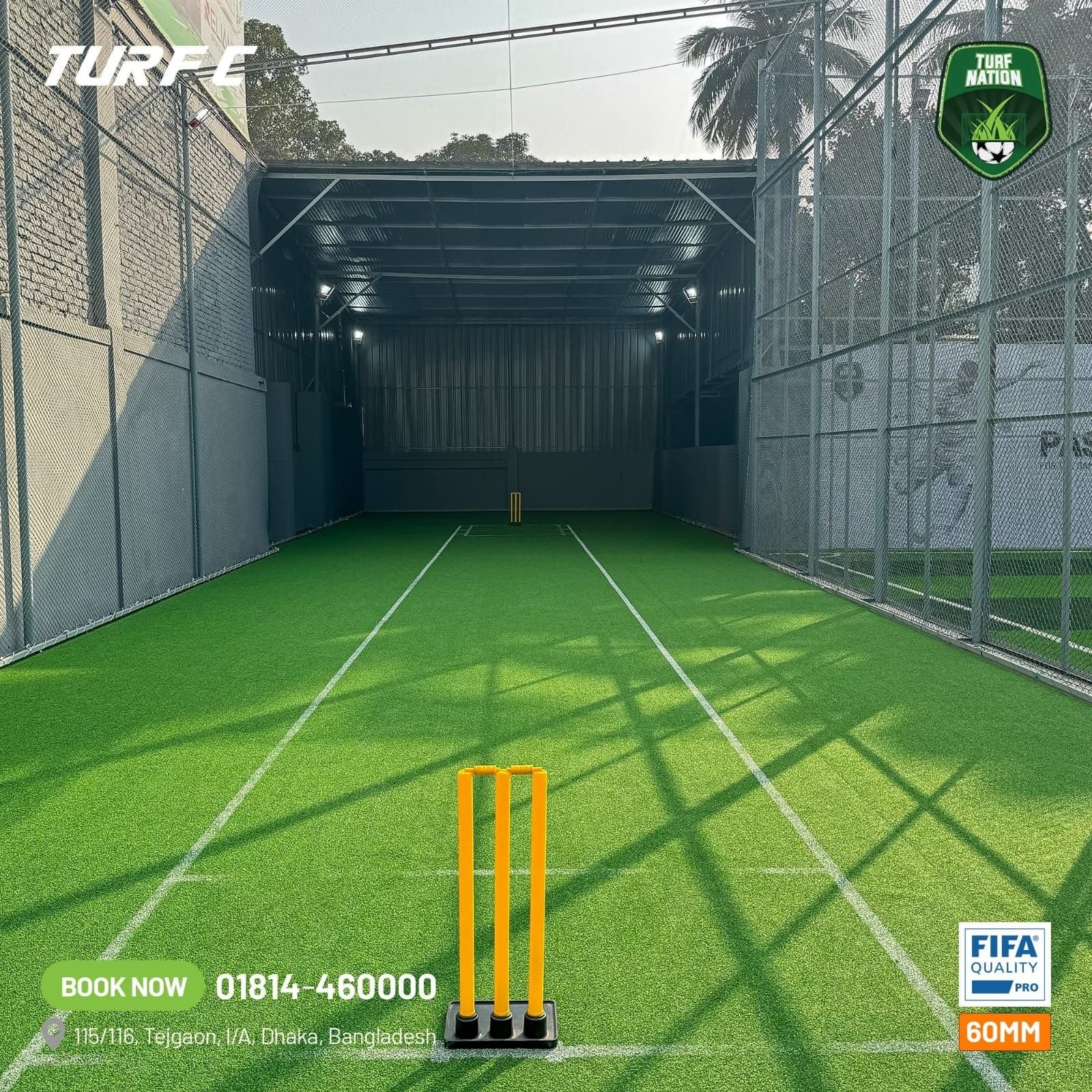 Cricket Turf